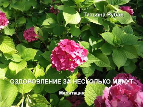 Оздоровление за несколько минут Медитация