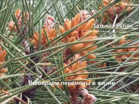 Выбираем перемены в жизни. Аудиозапись.