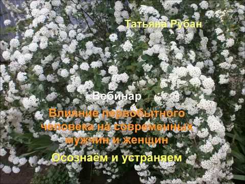 Влияние первобытного человека на современных мужчин и женщин. Осознаём и устраняем. Вебинар видеозапись